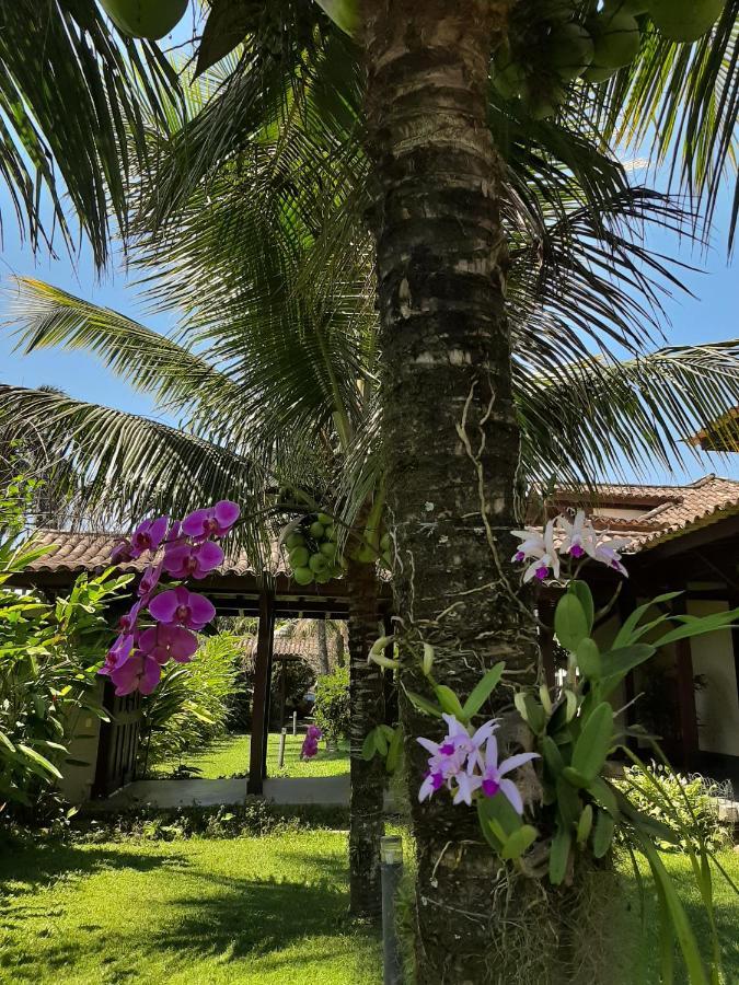 Casa Pomar Do Aconchego Apartment Paraty Exterior photo